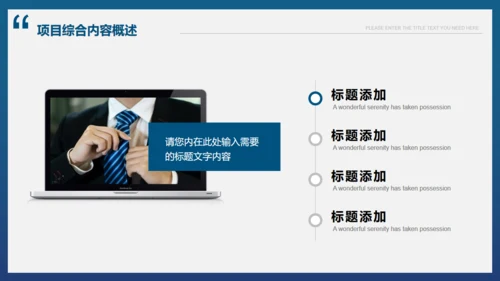 商业项目计划书模板通用PPT