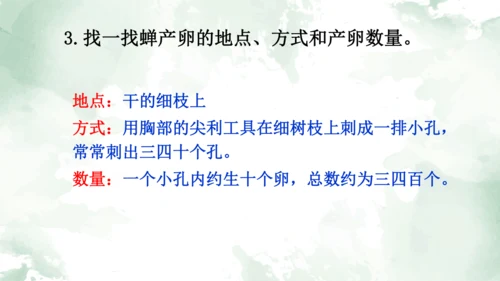 第21课《蝉》课件