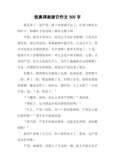 我真得谢谢它作文500字.docx