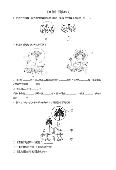 《真菌》同步练习1