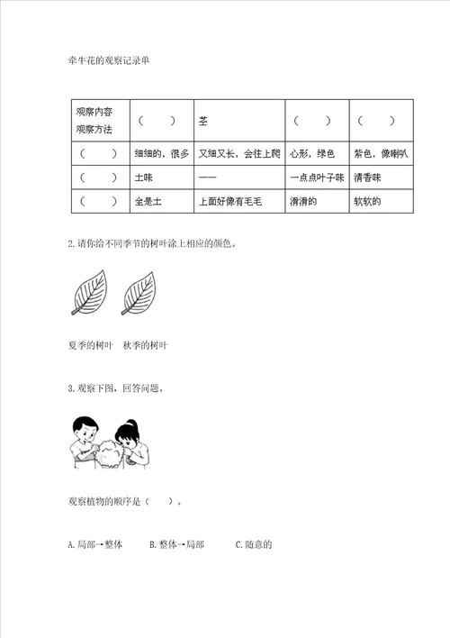 教科版科学一年级上册第一单元植物测试卷精品