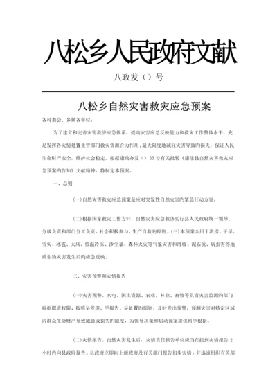 八松乡自然灾害应急全新预案.docx