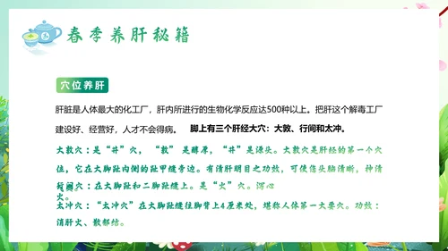 春暖花开春季养生，养肝通用PPT模板