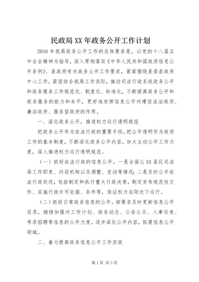 民政局XX年政务公开工作计划.docx