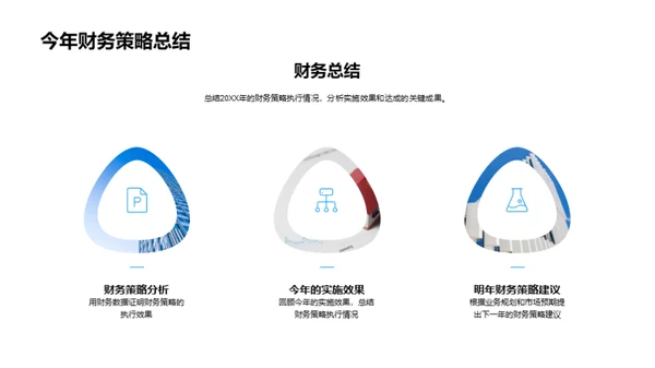 财务策略全面解析