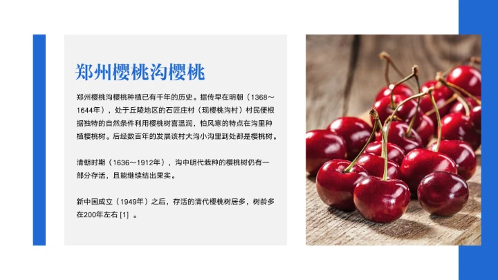 郑州城市旅游介绍宣传PPT