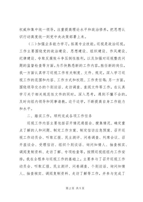 巡视巡察工作个人总结.docx