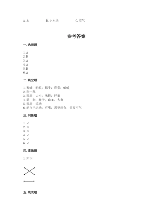 教科版小学科学一年级下册期末测试卷及参考答案（基础题）.docx