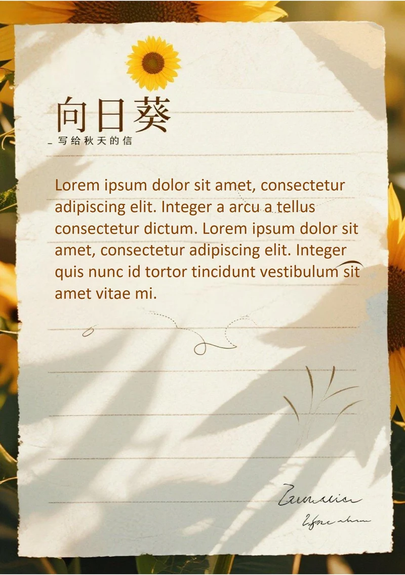 8月向日葵信纸