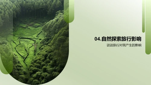 生态漫游：探索与认知