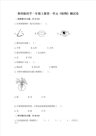 教科版科学一年级上册第一单元《植物》测试卷（巩固）