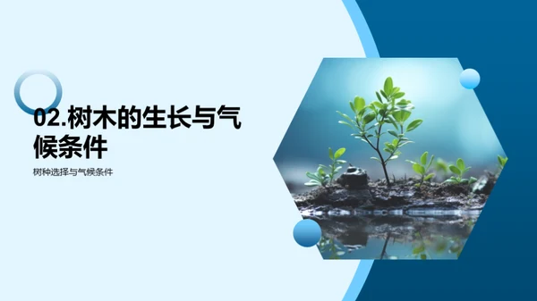 地理科学与植树行动