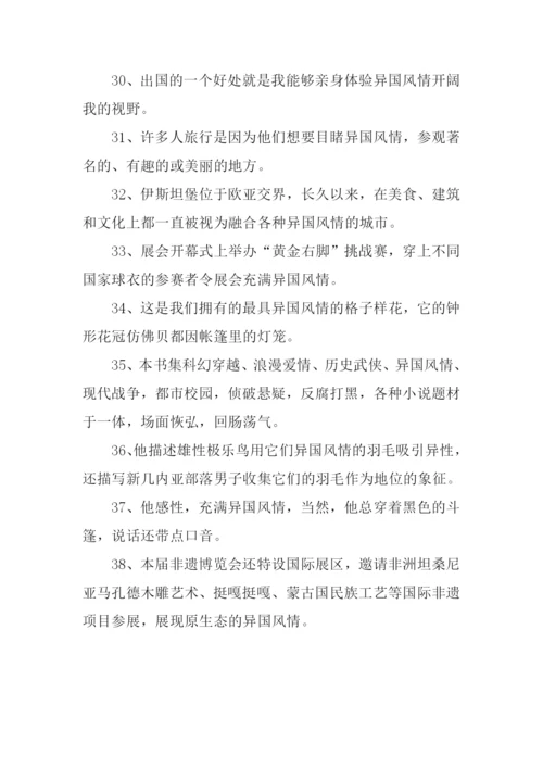 异国风情的意思.docx