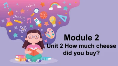 Module 2 Unit 2 How much cheese did you buy? 课件(共3