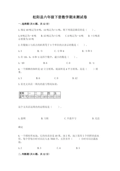 松阳县六年级下册数学期末测试卷（名师推荐）.docx