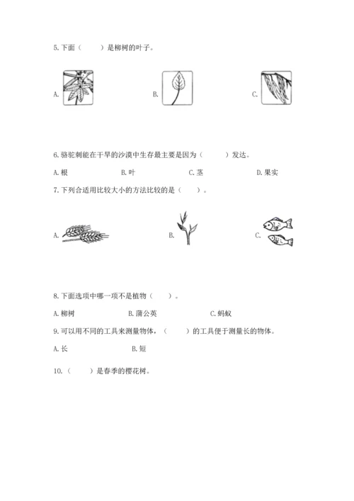 教科版一年级上册科学期末测试卷含完整答案（全国通用）.docx