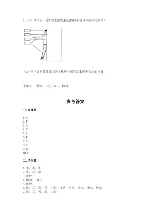 教科版小学科学二年级下册 期末测试卷附参考答案（满分必刷）.docx