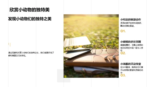 我们的小小动物园
