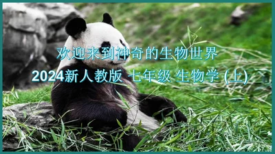 第一单元第三章从细胞到生物体（复习课件）-七年级生物上册同步教学精制课件（人教版2024）(共44张