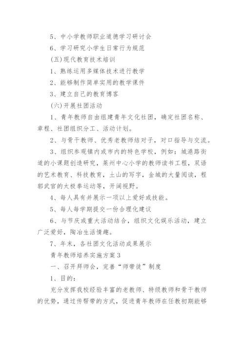 青年教师培养实施方案_1.docx