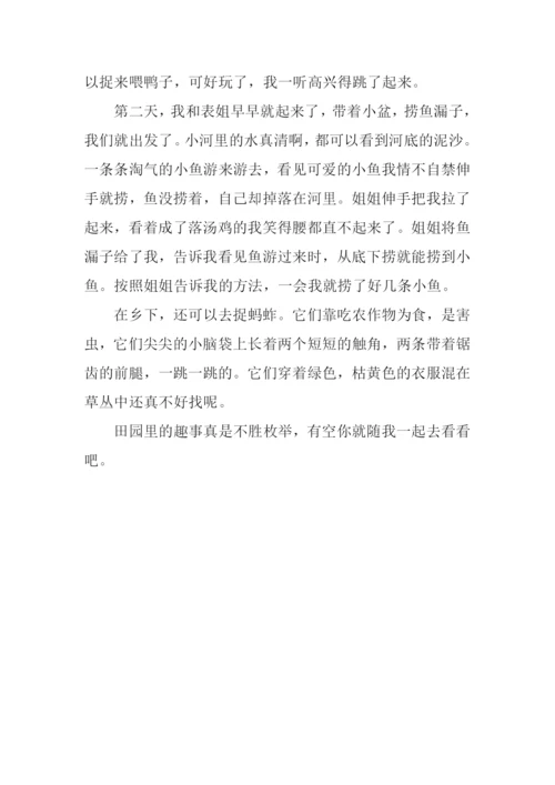 田园趣事作文.docx