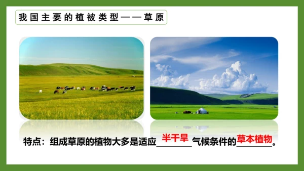 3.6 爱护植被，绿化祖国2023-2024学年七年级生物上册精品课件（人教版）(共21张PPT)