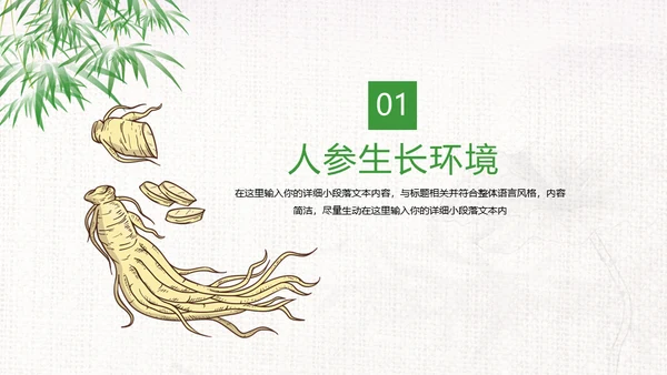 中草药中药人参通用PPT模板