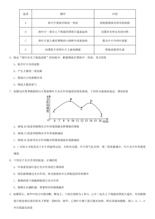 中考生物 专题汇编 植物的光合作用-人教版初中九年级全册生物试题.docx