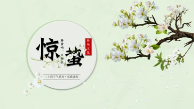 惊蛰淡绿色二十四节气实践教学课件通用PPT模板
