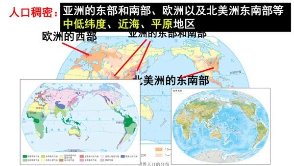 2.3.1 人口和人种 课件（20张PPT）