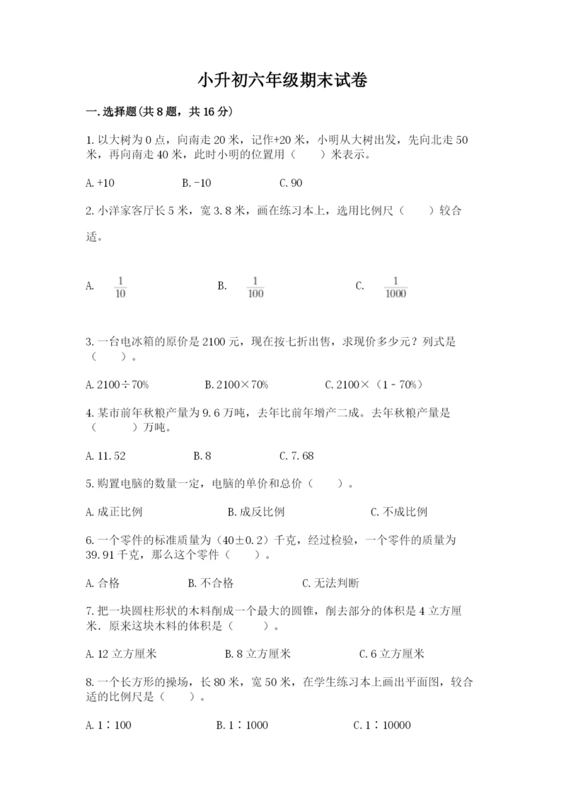 小升初六年级期末试卷（夺冠系列）.docx