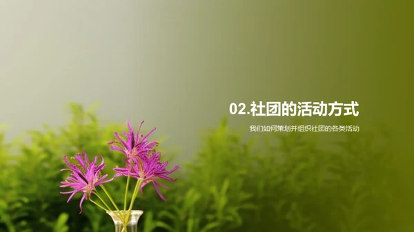 社团力量探索