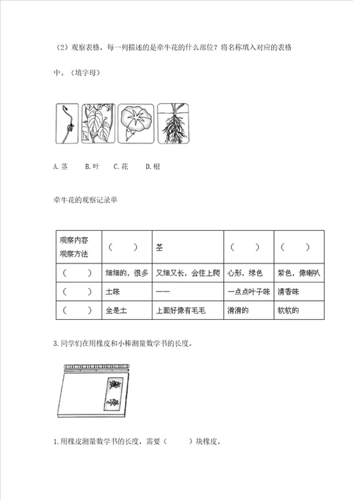 教科版小学一年级上册科学期末测试卷精品b卷