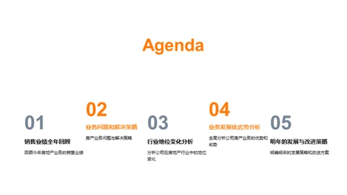 房产业绩年度解析