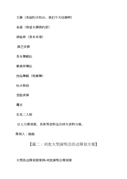 大型演唱会活动专题方案.docx