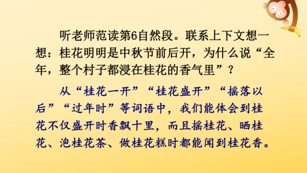 3 桂花雨   课件