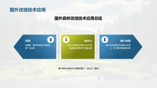 森林改培：新绿未来