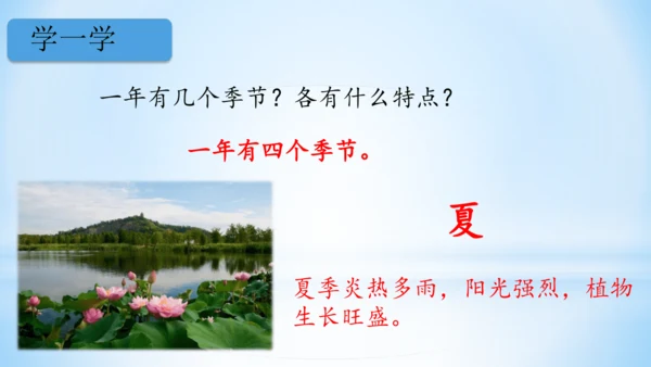 1 春夏秋冬   (教学课件)