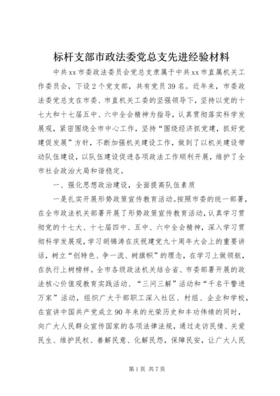 标杆支部市政法委党总支先进经验材料.docx