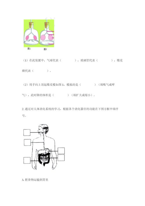 教科版四年级上册科学期末测试卷（全优）word版.docx