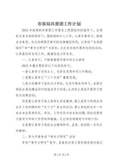 市容局共青团工作计划.docx