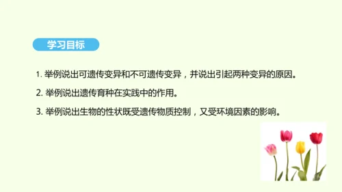7.2.5生物的变异课件-人教版生物八年级下册(共28张PPT)