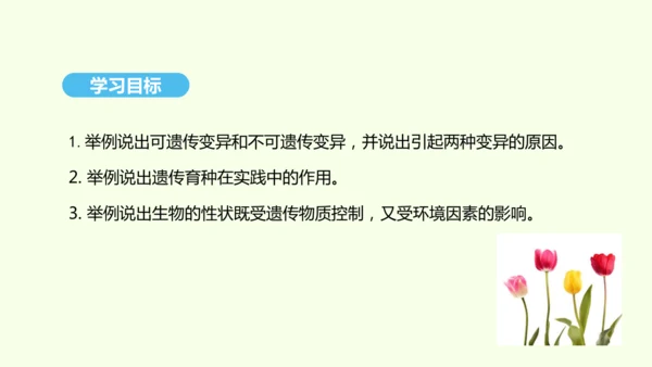 7.2.5生物的变异课件-人教版生物八年级下册(共28张PPT)