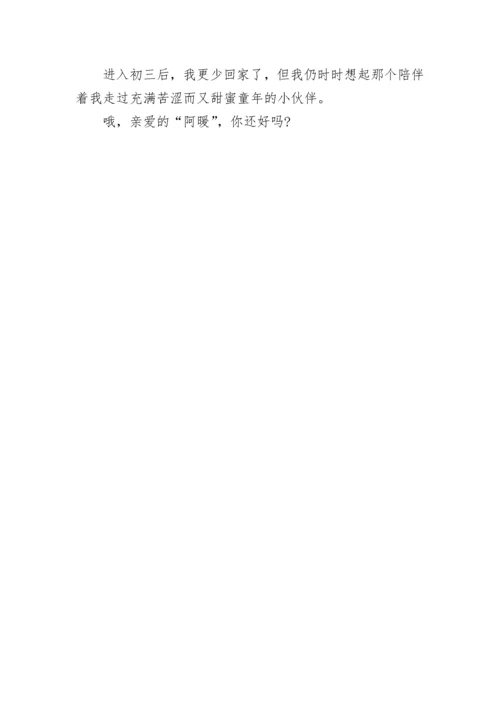 2020年中考作文指导：中考作文常见问题及对策.docx