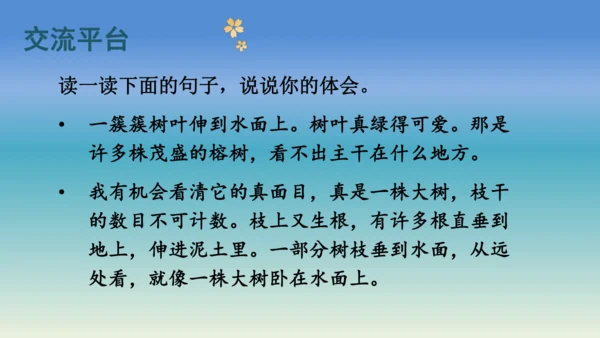 【同步课件】部编版语文五年级上册 语文园地七 课件（2课时）