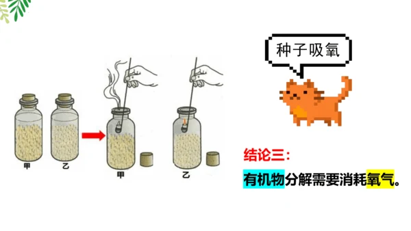 3.5.2 绿色植物的呼吸作用-2023-2024学年七年级生物上册优质课件（人教版）(共18张PP