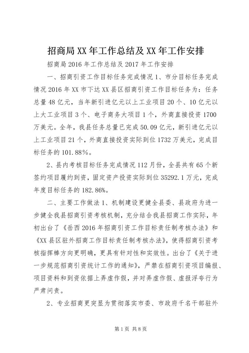 招商局XX年工作总结及XX年工作安排.docx