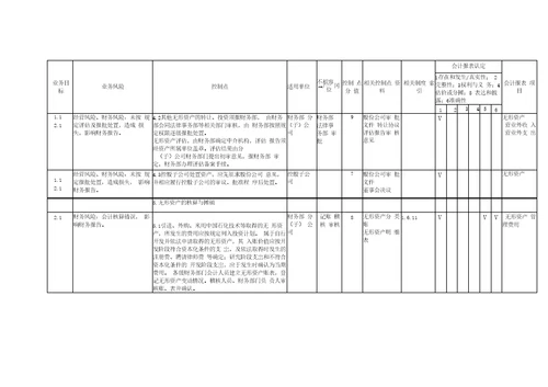 无形资产管理业务控制矩阵