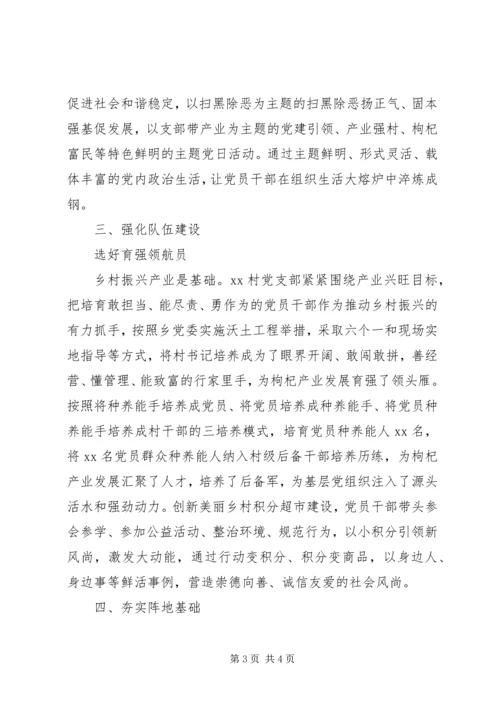 党建引领脱贫攻坚典型经验.docx