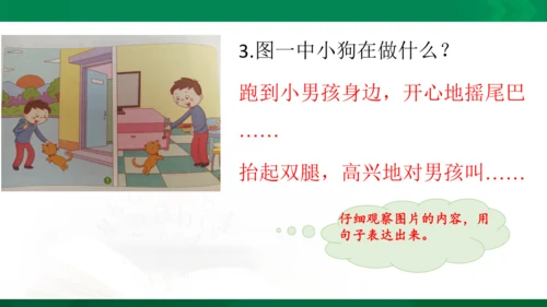 部编版二年级语文看图写话写动物课件